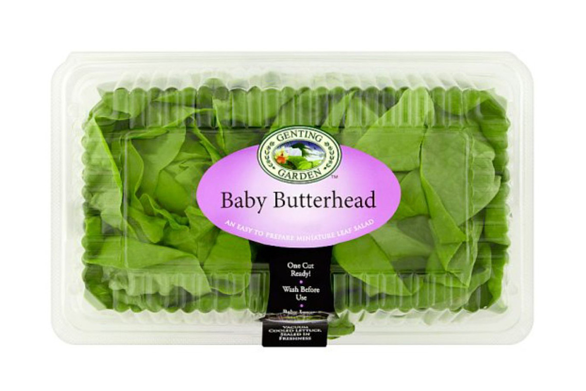 Baby Butterhead Our Products Genting Garden