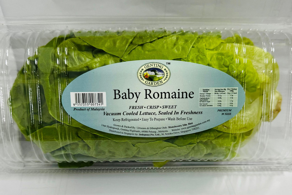 Baby Romaine Our Products Genting Garden